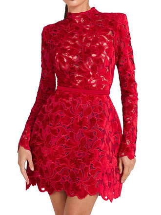 Robe col roulé mi-long en dentelle florale floquée années 1960